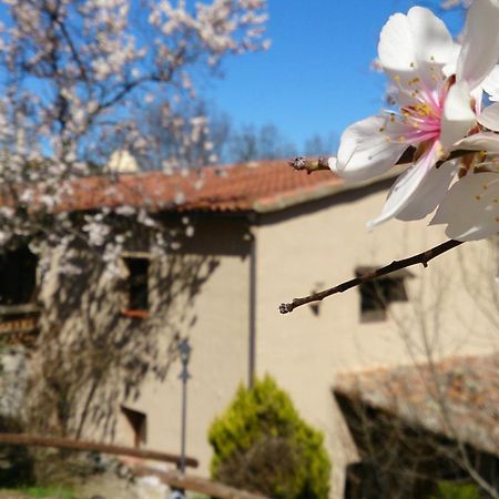 Valdolazaro Guest House Los Navalucillos Eksteriør bilde