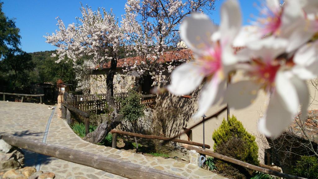 Valdolazaro Guest House Los Navalucillos Eksteriør bilde