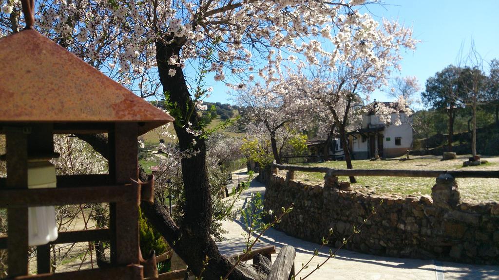 Valdolazaro Guest House Los Navalucillos Eksteriør bilde